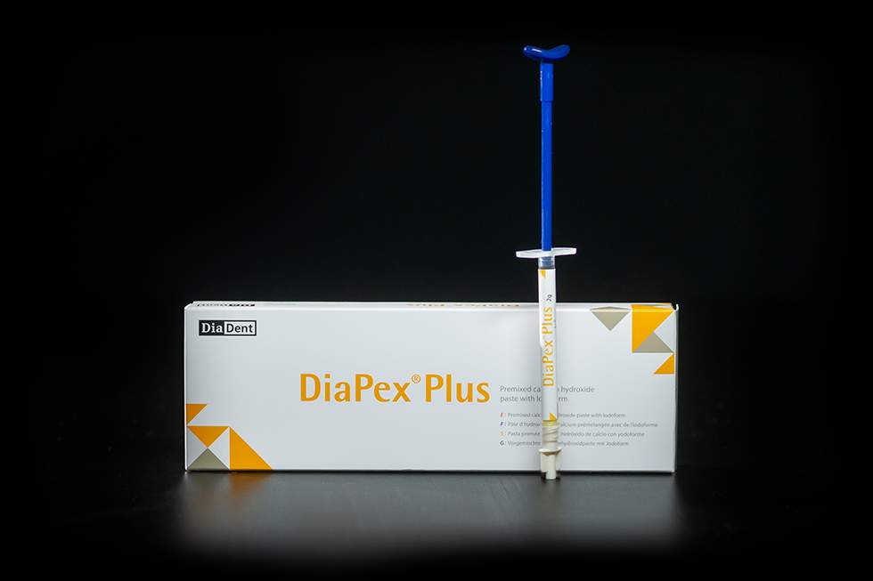 Паста гидроксида кальция DiaPex Plus пр-ва Diadent от официального поставщика в РФ, компании ООО Медмаркет групп